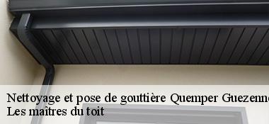 Nettoyage et pose de gouttière  22260