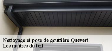 Nettoyage et pose de gouttière  22100