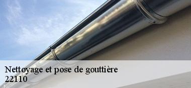 Nettoyage et pose de gouttière  22110