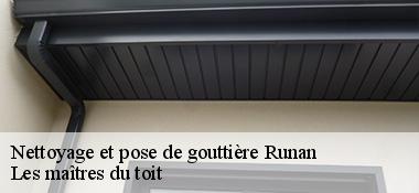 Nettoyage et pose de gouttière  22260
