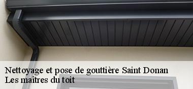 Nettoyage et pose de gouttière  22800