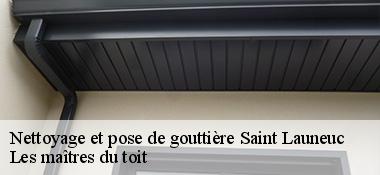 Nettoyage et pose de gouttière 22230