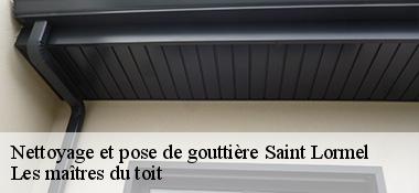 Nettoyage et pose de gouttière  22130