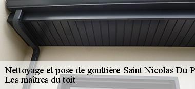 Nettoyage et pose de gouttière  22480