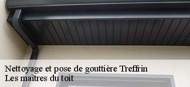 Nettoyage et pose de gouttière  22340