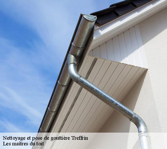Nettoyage et pose de gouttière  22340