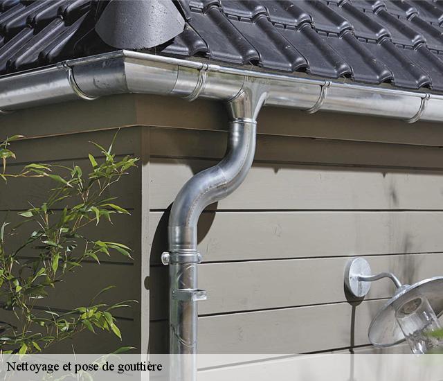 Nettoyage et pose de gouttière  22250