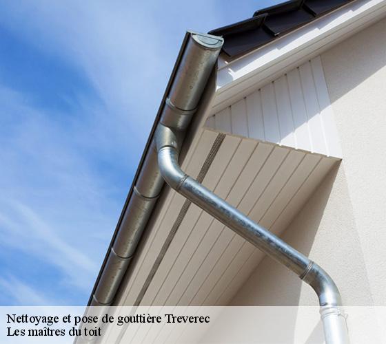 Nettoyage et pose de gouttière  22290