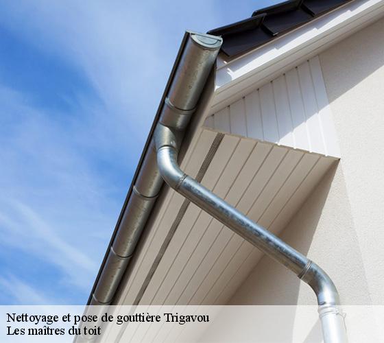 Nettoyage et pose de gouttière  22490