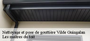 Nettoyage et pose de gouttière 22980