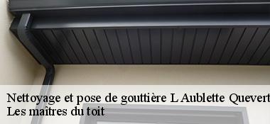 Nettoyage et pose de gouttière  22100