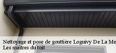 Nettoyage et pose de gouttière 22620