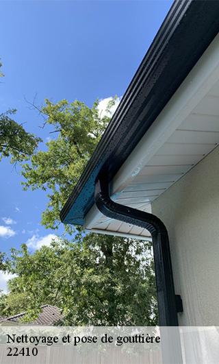 Nettoyage et pose de gouttière  22410