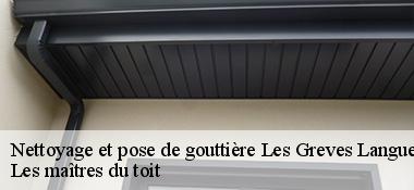 Nettoyage et pose de gouttière  22360