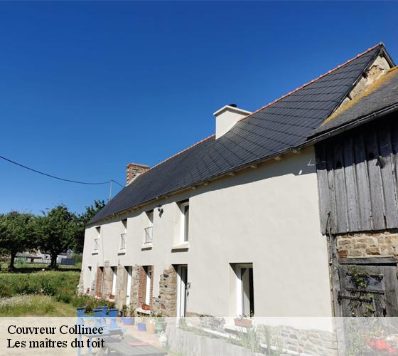 Couvreur 22330