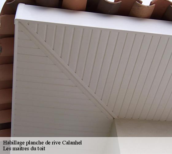Habillage planche de rive  22160