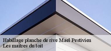 Habillage planche de rive  22160