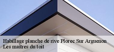 Habillage planche de rive  22130