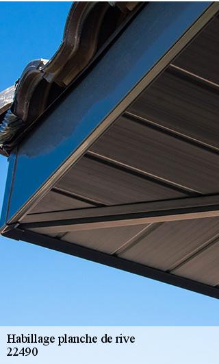 Habillage planche de rive  22490