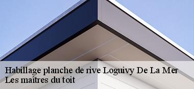 Habillage planche de rive  22620