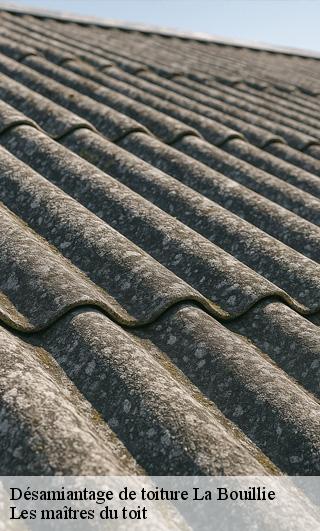 Désamiantage de toiture  22240