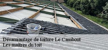 Désamiantage de toiture  22210