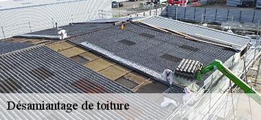 Désamiantage de toiture  22210