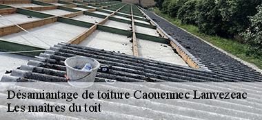 Désamiantage de toiture  22300