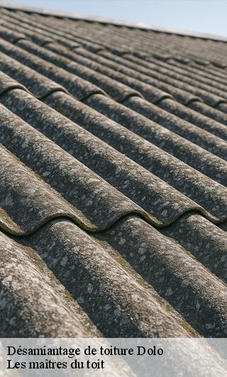 Désamiantage de toiture  22270