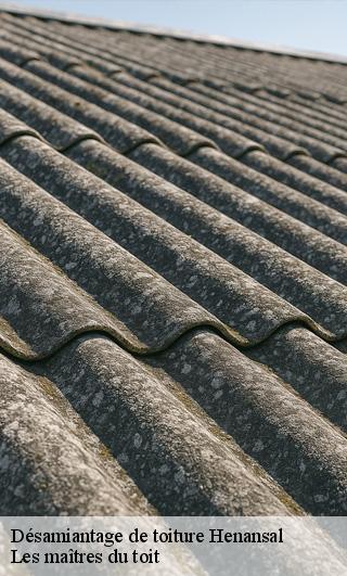 Désamiantage de toiture  22400