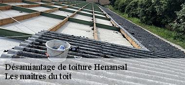 Désamiantage de toiture  22400