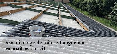 Désamiantage de toiture  22130