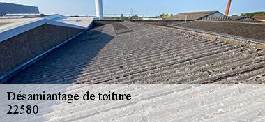 Désamiantage de toiture 22580