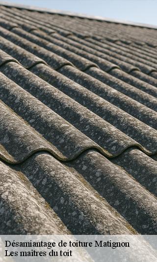 Désamiantage de toiture  22550