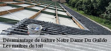 Désamiantage de toiture  22380