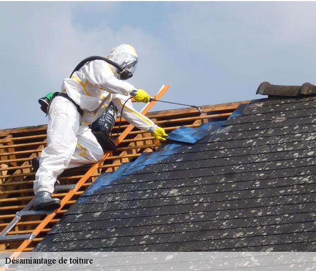 Désamiantage de toiture  22340