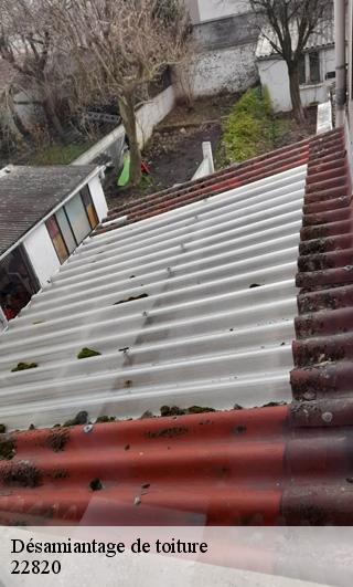 Désamiantage de toiture  22820