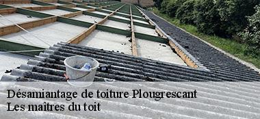 Désamiantage de toiture  22820