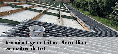 Désamiantage de toiture 22300