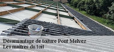 Désamiantage de toiture 22390