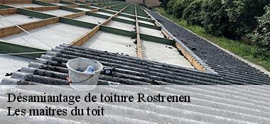 Désamiantage de toiture  22110