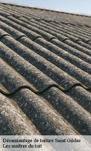 Désamiantage de toiture  22800