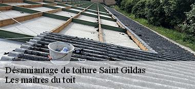 Désamiantage de toiture  22800