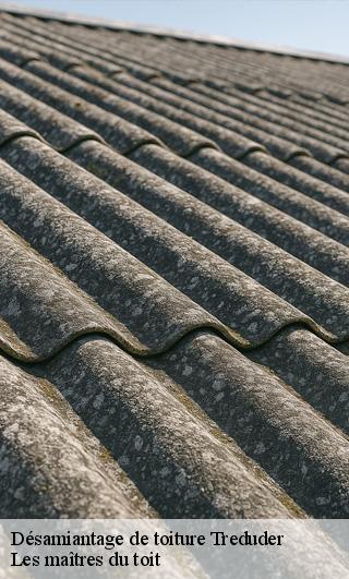 Désamiantage de toiture  22310