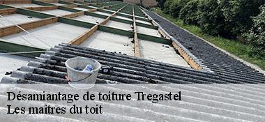 Désamiantage de toiture  22730