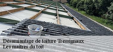 Désamiantage de toiture  22290