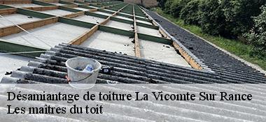 Désamiantage de toiture  22690