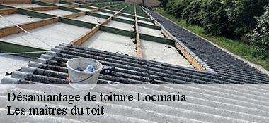 Désamiantage de toiture  22810
