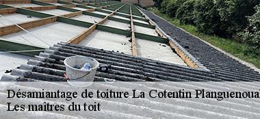 Désamiantage de toiture 22400