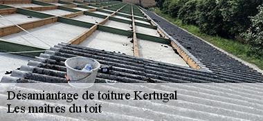 Désamiantage de toiture  22410